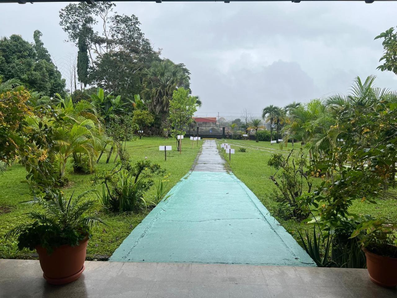 Casa Eva Lodging Costa Rica San Isidro De El General Ngoại thất bức ảnh